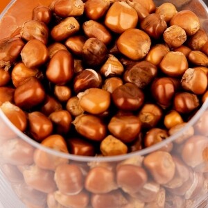 한계령웰빙,한계령 덖은 찰옥수수차