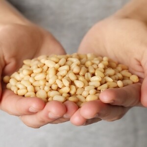 한계령웰빙,[한계령웰빙] 국산 잣 황잣 백잣